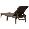 vidaXL Sun Lounger Brown 186x60x29 cm PP