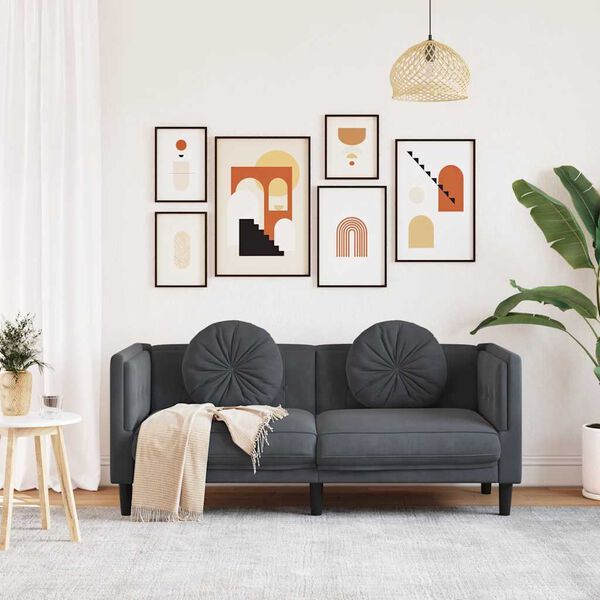 vidaXL Sofa with Cushions 2-Seater Dark Grey Velvet