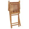 vidaXL Folding Garden Chairs 2 pcs Solid Teak Wood