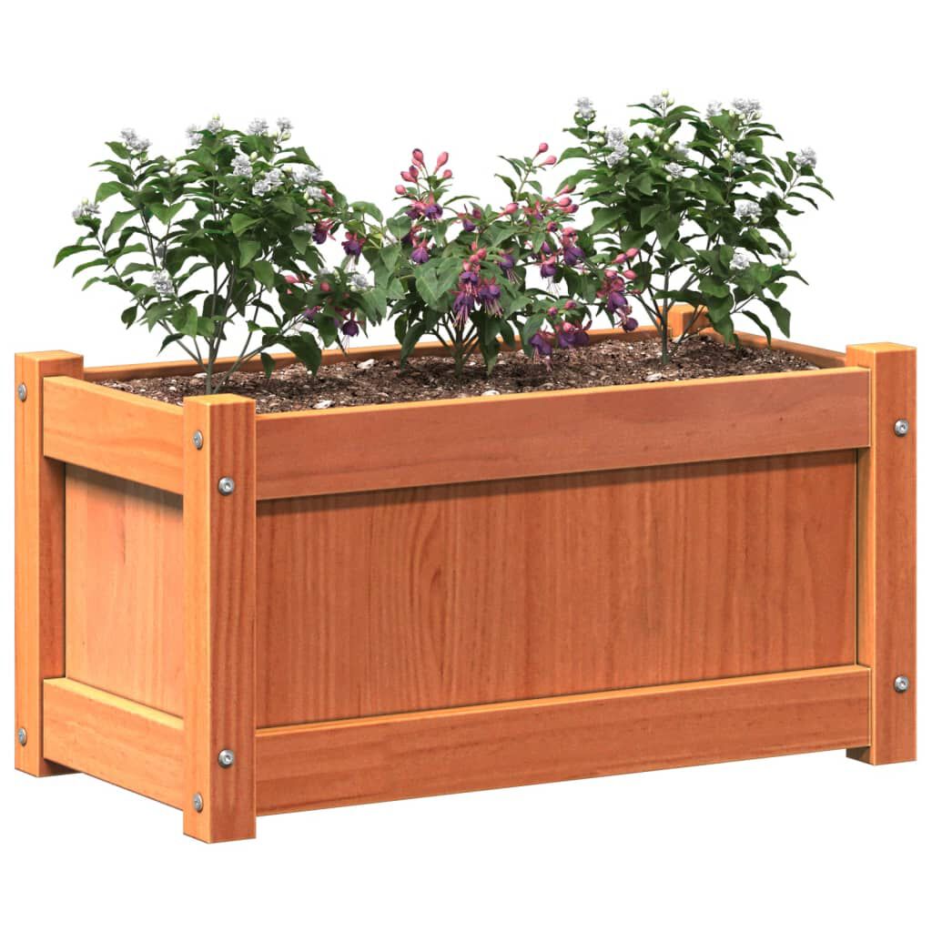 vidaXL Garden Planter Wax Brown 60x31x31 cm Solid Wood Pine