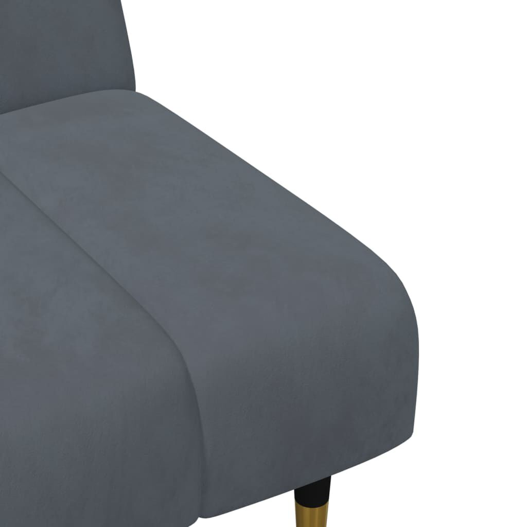 vidaXL 2 Piece Sofa Set Dark Grey Velvet
