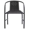 vidaXL Garden Chairs 4 pcs Plastic Rattan and Steel 110 kg