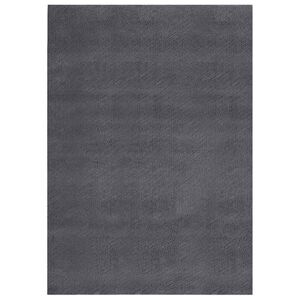 vidaXL Washable Rug Soft Shaggy Anthracite 160x230 cm Anti Slip