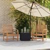vidaXL Garden Chairs 2 pcs Natural 60 x 65 x 76.5 cm Solid teak wood