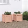 vidaXL Garden Planters 2 pcs Solid Wood Douglas