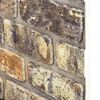 vidaXL 3D Wall Panels with Multicolour Brick Design 10 pcs EPS
