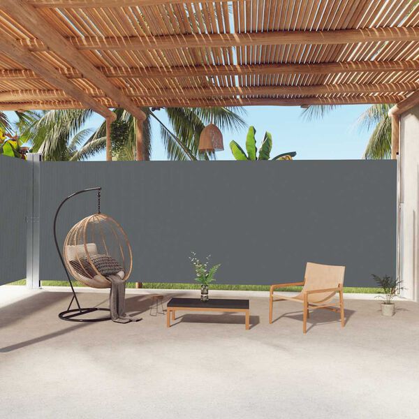 vidaXL Retractable Side Awning Anthracite 220x1000 cm