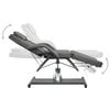 vidaXL Massage Table Grey 180x62x(87-112) cm