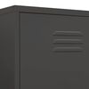 vidaXL Wardrobe Anthracite 90x50x180 cm Steel