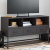 vidaXL TV Cabinet Black 100.5x39x60.5 cm Steel