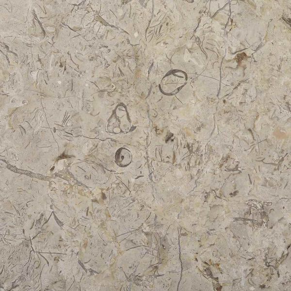 vidaXL Table Top Grey Ø50x2.5 cm Marble