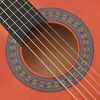 vidaXL 8 Piece Classical Guitar Beginner Set 3/4 36"