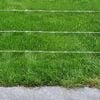 Barbed Wire 500 m.