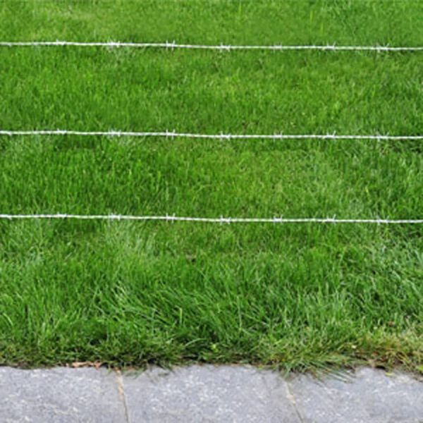 Barbed Wire 500 m.