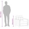 vidaXL Sofa Chair Light Grey 60 cm Fabric
