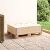 vidaXL Pallet Collar 60x80 cm Solid Pine Wood