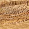 vidaXL Round Side Tables 2 pcs Solid Mango Wood and Steel