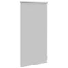 Roller Blind Blackout 40 x 100 cm Grey