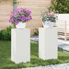vidaXL Plant Stands 2 pcs White 24 x 24 x 55 cm Steel