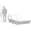 vidaXL Double Sun Lounger with Cushions Brown Poly Rattan