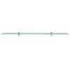 vidaXL Floating Shelf Glass 100x20 cm 8 mm