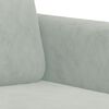 vidaXL 2 Piece Sofa Set Light Grey Velvet