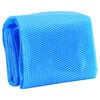 Rectangular Pool Cover 450 x 220 cm PE Blue