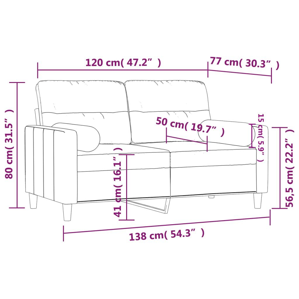 vidaXL 2-Seater Sofa with Throw Pillows Dark Grey 120 cm Fabric