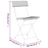 vidaXL Folding Bistro Chairs 2 pcs Black Poly Rattan and Steel
