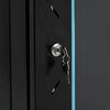 vidaXL 22U Network Cabinet 19" IP20 Black 60x60x120 cm