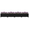 vidaXL Raised Bed 160x40x23 cm Polypropylene