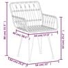 vidaXL Garden Chairs 2 pcs with Armrest 56x64x80 cm PE Rattan