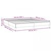 vidaXL Bed Frame without Mattress Light Grey 152x203 cm Queen Velvet