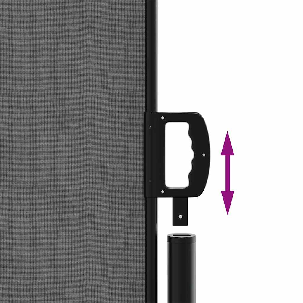 vidaXL Retractable Side Awning Anthracite 100x600 cm