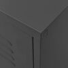 vidaXL TV Cabinet Anthracite 105x35x50 cm Steel