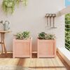 vidaXL Garden Planters 2 pcs Solid Wood Douglas