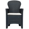 vidaXL 9 Piece Outdoor Dining Set Plastic Anthracite Rattan Look