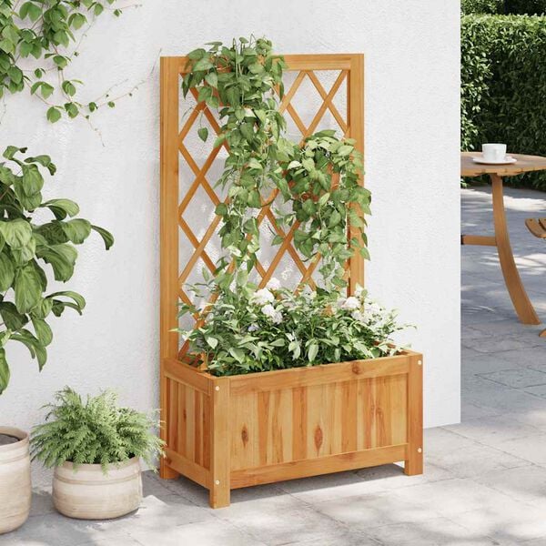 vidaXL Garden Raised Bed with Trellis Solid Acacia Wood