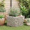 vidaXL Hexagonal Gabion Raised Bed 100x90x50 cm
