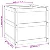 vidaXL Garden Planter 60x60x60 cm Solid Wood Pine