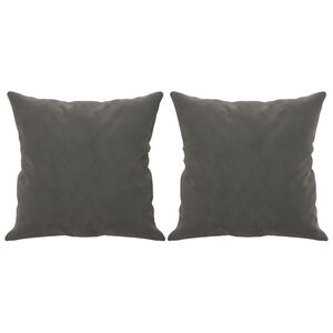 vidaXL Throw Pillows 2 pcs Dark Grey 40x40 cm Velvet