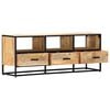 vidaXL TV Cabinet 120x30x45 cm Solid Mango Wood