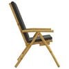 vidaXL Folding Garden Reclining Chairs 2 pcs with Cushions Bamboo