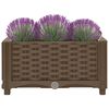 vidaXL Raised Bed 40x40x23 cm Polypropylene