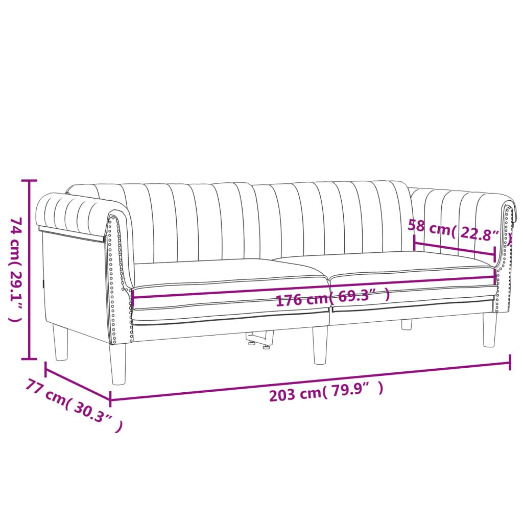 vidaXL 2 Piece Sofa Set Dark Grey Velvet