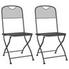 vidaXL Folding Chairs 2 pcs Expanded Metal Mesh Anthracite