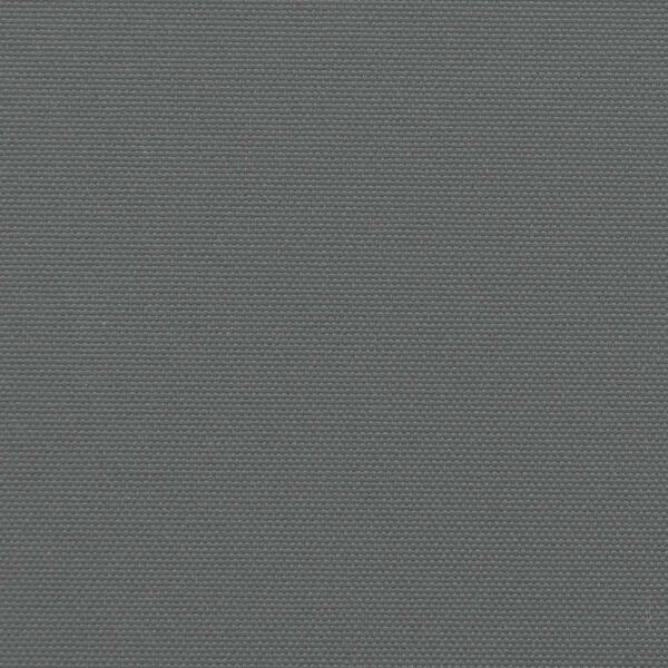 vidaXL Retractable Side Awning Anthracite 200x600 cm