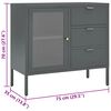 vidaXL Sideboard Anthracite 75x35x70 cm Steel and Tempered Glass