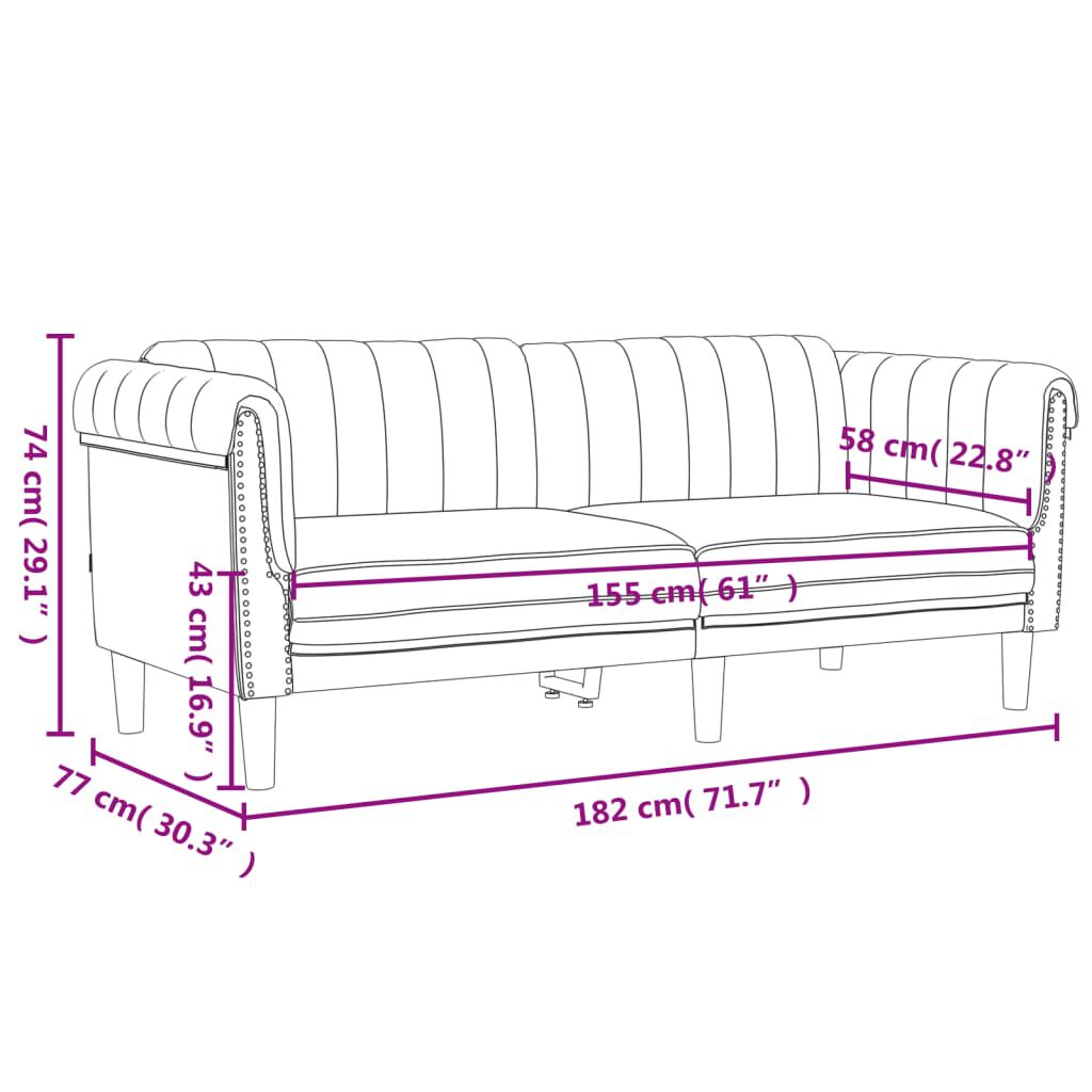 vidaXL 2 Piece Sofa Set Dark Grey Velvet