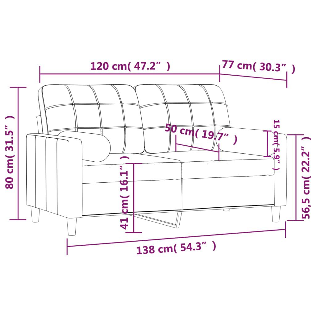 vidaXL 2-Seater Sofa with Throw Pillows Dark Grey 120 cm Fabric